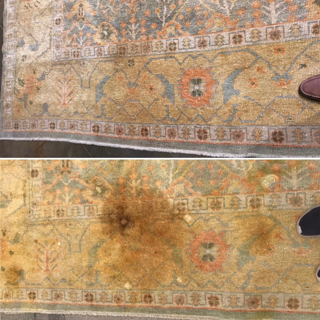 Professional Rug Cleaning Before & After