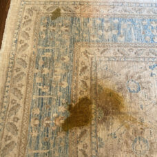 Rug Cleaning 7